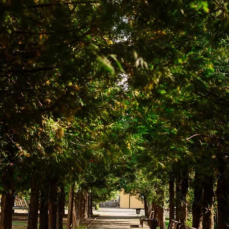 Konvalia Hotel Truskavets